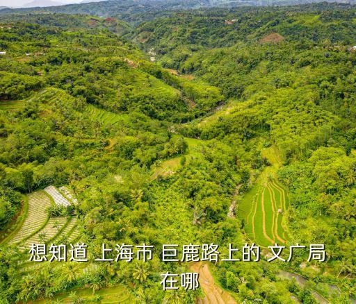 上海市文化局地圖，想知道 上海市 巨鹿路上的 文廣局 在哪