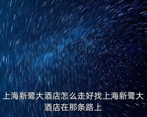 上海新鷺大酒店怎么走好找上海新鷺大酒店在那條路上