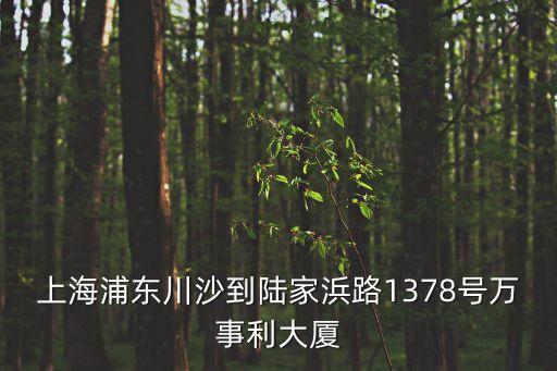 上海市萬事利大廈，上海萬事利有實(shí)體門店嗎
