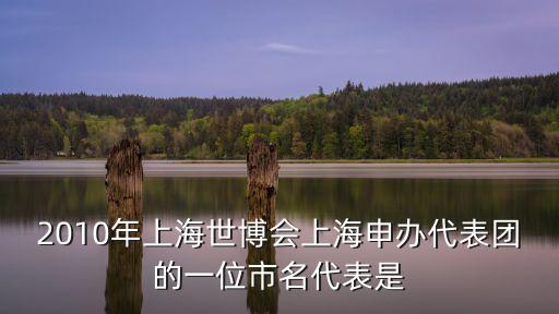 2010年上海世博會上海申辦代表團的一位市名代表是