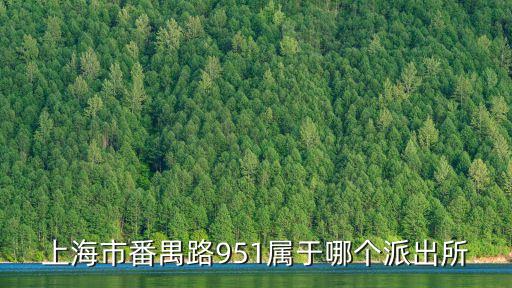 上海市徐匯區番禹路，上海徐匯區番禺路1203號屬于哪個街道
