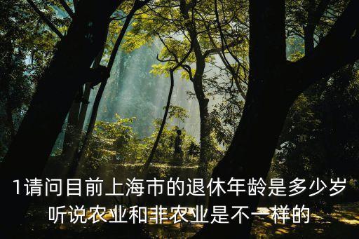 上海市現在退休年齡多大，1請問目前上海市的退休年齡是多少歲聽說農業和非農業是不一樣的