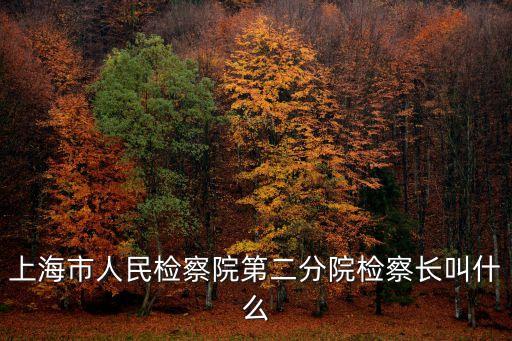上海市 第二檢察院檢察長，上海市檢察院檢察長是誰