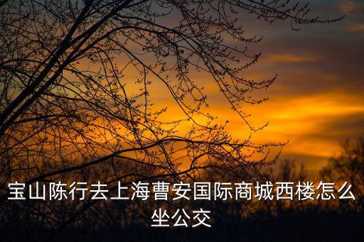 上海市寶山81路，上海寶山八十一路晚班是幾點