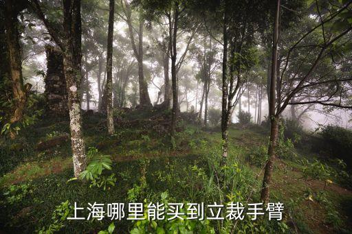 上海市進(jìn)大機(jī)械設(shè)備，上海哪里能買(mǎi)到立裁手臂