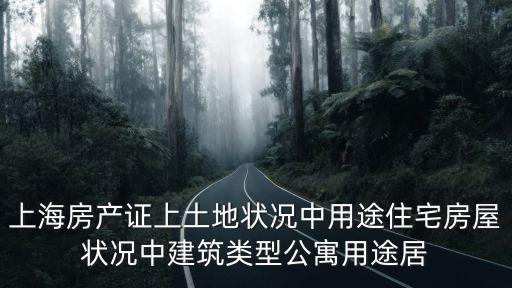 上海市農(nóng)村 住房 用途，上海房產(chǎn)證上土地狀況中用途住宅房屋狀況中建筑類型公寓用途居