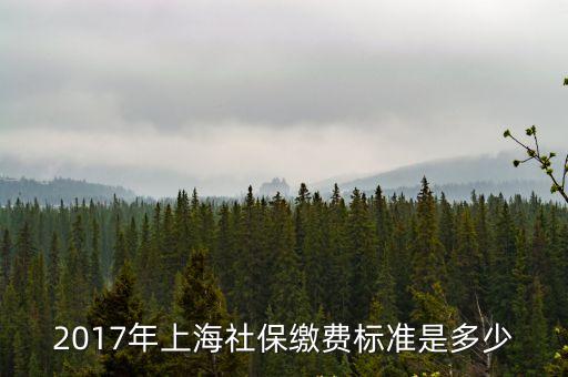上海市2017年社保個體商戶，2017年上海社保繳費標準是多少