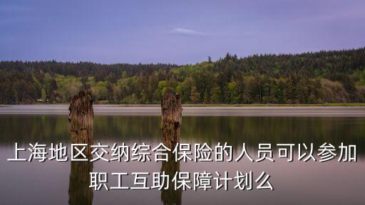 上海地區交納綜合保險的人員可以參加職工互助保障計劃么
