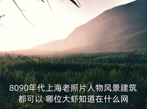 8090年代上海老照片人物風景建筑都可以 哪位大蝦知道在什么網