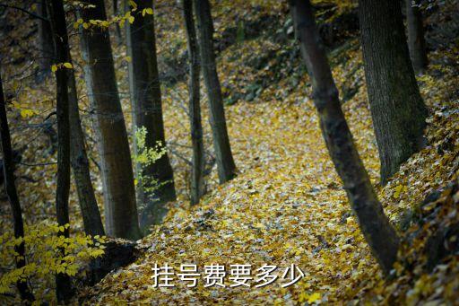上海市三甲醫院專家掛號費，掛號費要多少