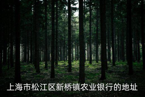 農(nóng)行上海市松江區(qū)磚橋支行，上海市松江區(qū)新橋鎮(zhèn)農(nóng)業(yè)銀行的地址