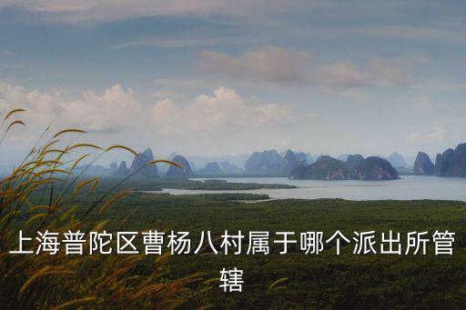上海普陀區曹楊八村屬于哪個派出所管轄
