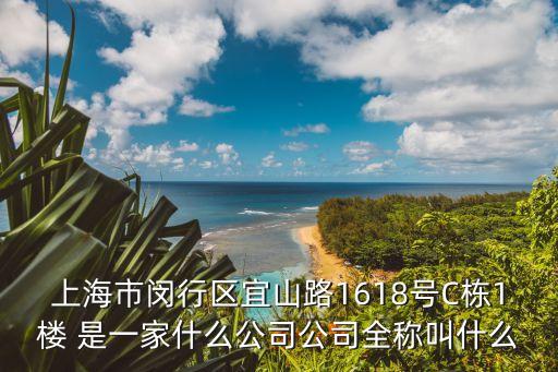 上海市煒吾控股有限公司，上海市閔行區宜山路1618號C棟1樓 是一家什么公司公司全稱叫什么