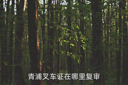 上海市叉車證到哪里復審，松江叉車證復審在哪里