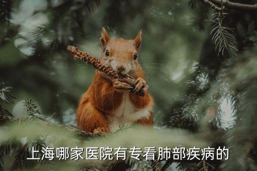 上海市肺部疾病的 醫院好，上海哪家醫院看肺病好