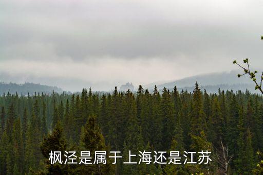楓涇是屬于上海還是江蘇