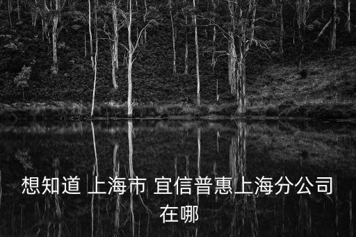 上海市宜興普惠擔保公司，想知道 上海市 宜信普惠上海分公司 在哪