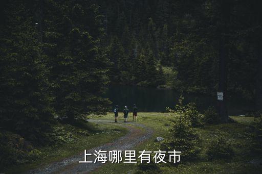 上海市地下夜市，上海哪里有夜市地?cái)?/></a></span><span id=