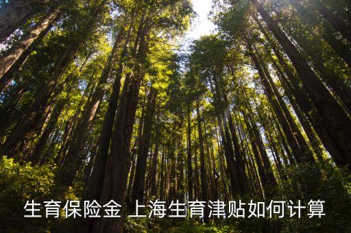 上海市個(gè)體工商戶生育津貼，上海申請(qǐng)生育津貼需要哪些材料的
