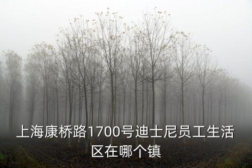 上海康橋路1700號迪士尼員工生活區在哪個鎮