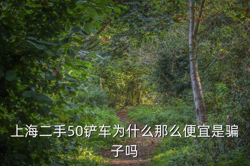 上海市場的鏟車為什么價格低，上海二手50鏟車為什么那么便宜是騙子嗎