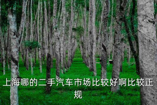 上海市二手客車，上海哪的二手汽車市場(chǎng)比較好啊比較正規(guī)