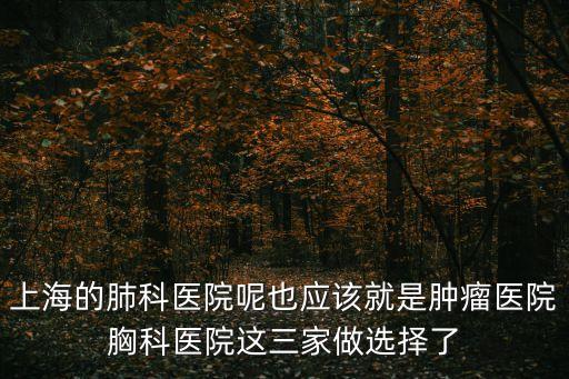 上海的肺科醫(yī)院呢也應(yīng)該就是腫瘤醫(yī)院胸科醫(yī)院這三家做選擇了