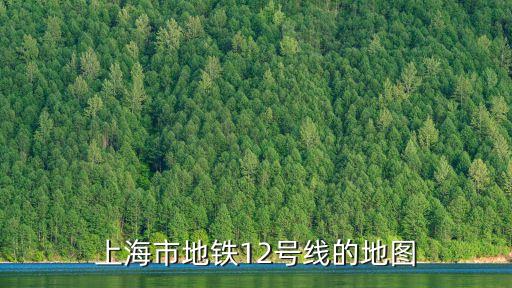 上海市金海路地鐵規劃圖，地鐵五號線延伸金海路有站嗎