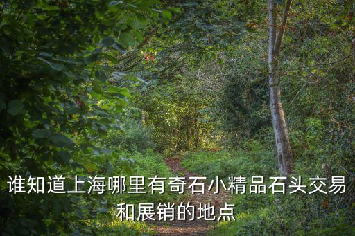上海市收藏石市場，上海收藏市場在那 請詳細