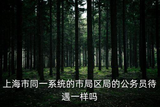 上海市同一系統的市局區局的公務員待遇一樣嗎