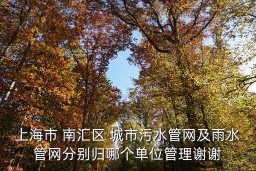 上海市青草沙污水管網，愛菲煙克 點燃型上海市漢口路1086號