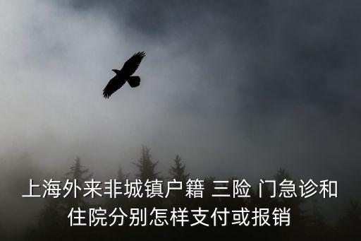 上海外來非城鎮(zhèn)戶籍 三險(xiǎn) 門急診和住院分別怎樣支付或報(bào)銷