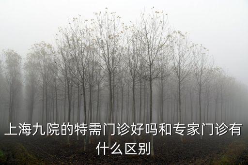 上海市精特需專家，上海精神衛生中心特需精神和咨詢什么區別