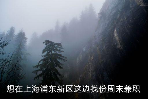 想在上海浦東新區這邊找份周末兼職