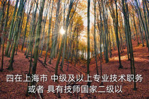 上海市中級(jí)以上職稱都包括什么，四在上海市 中級(jí)及以上專業(yè)技術(shù)職務(wù) 或者 具有技師國家二級(jí)以