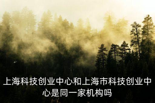 上?？萍紕摌I中心和上海市科技創業中心是同一家機構嗎