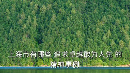 上海市有哪些 追求卓越敢為人先 的精神事例