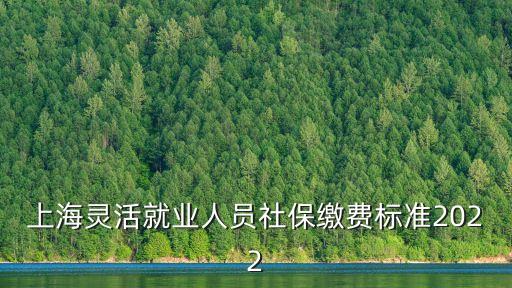 上海市 靈活就業交金，上海靈活就業人員社保繳費標準2022
