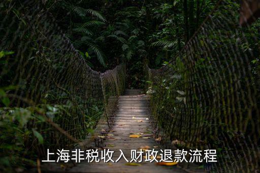 上海市非稅收入戶，上海市財政局非稅收入什么意思