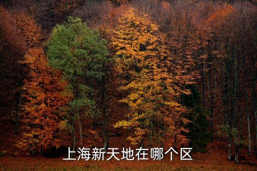 黑門和牛新天地店上海市黃浦區(qū)，上海的黃浦區(qū)哪里有賣自助餐的金額在50左右