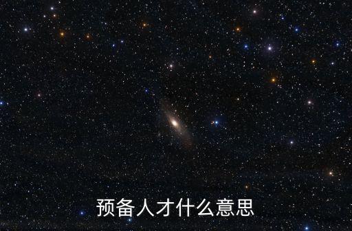 上海市儲(chǔ)備人才啥意思，預(yù)備人才什么意思