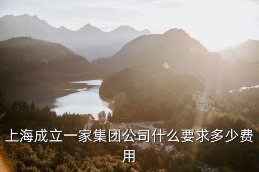上海成立一家集團公司什么要求多少費用