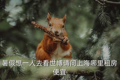 暑假想一人去看世博請(qǐng)問上海哪里租房便宜