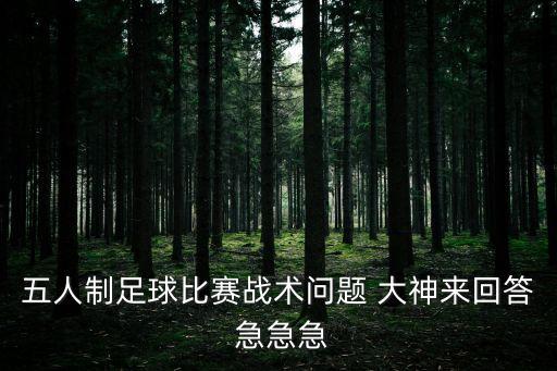 五人制足球比賽戰(zhàn)術(shù)問題 大神來回答 急急急