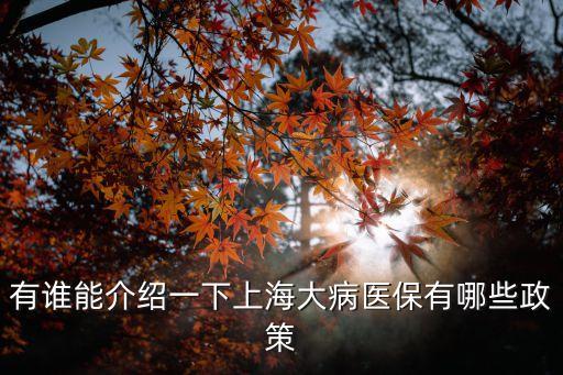 上海市大病保險業務服務管理，上海辦理大病醫保流程