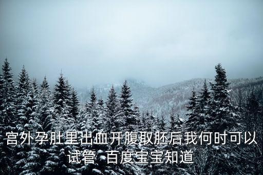 宮外孕肚里出血開腹取胚后我何時可以試管  百度寶寶知道