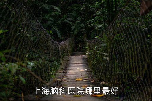 上海市腦科權(quán)威醫(yī)院排名，上海腦科醫(yī)院哪里最好