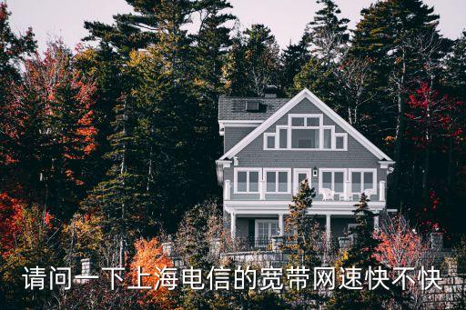 上海市的網速，請問一下上海電信的寬帶網速快不快