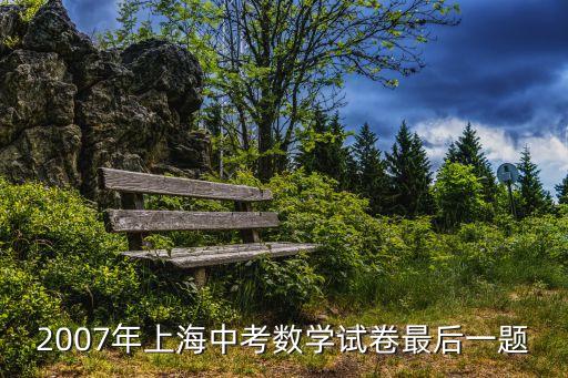 2007年上海中考數學試卷最后一題