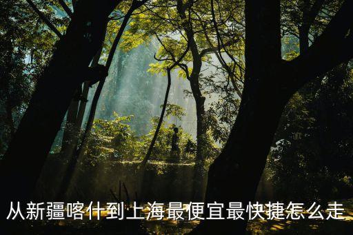 喀什市到上海市飛機票多少錢，從新疆喀什到上海坐火車需要多長時間要用多少錢那坐飛機呢